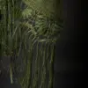 Chal Verde "Raíces da Costa"